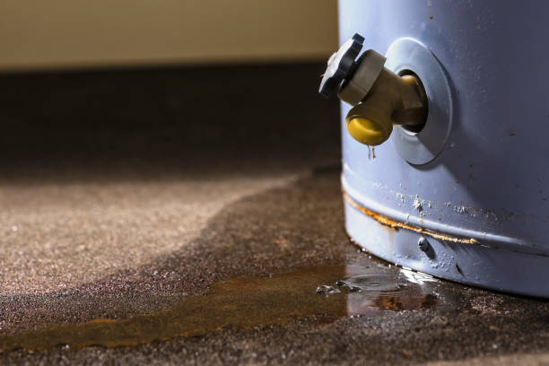Best Carpet water damage restoration  in Rkville, PA