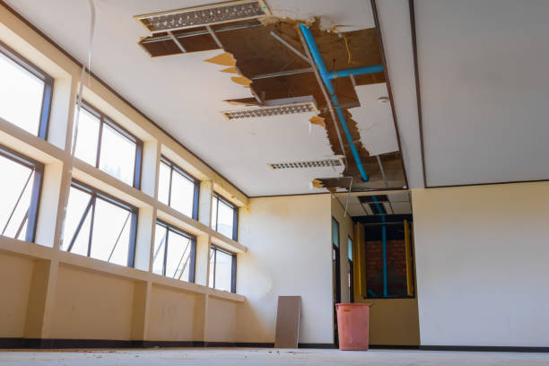 Best Professional water damage repair  in Rkville, PA