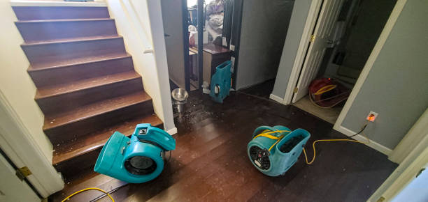 Best Mold removal after water damage  in Rkville, PA