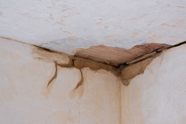 Best 24/7 water damage repair  in Rkville, PA
