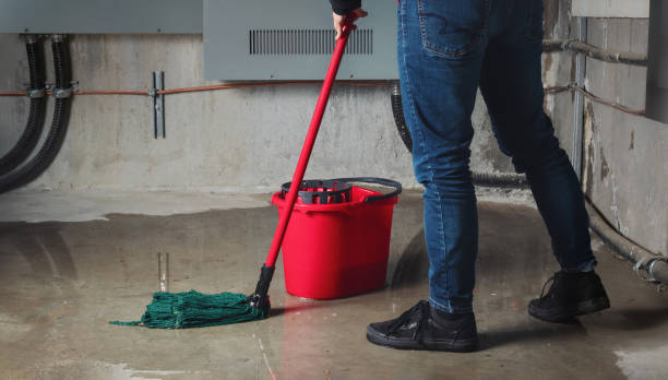 Water damage restoration insurance claims in Parkville, PA