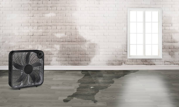 Best Water damage repair service  in Rkville, PA