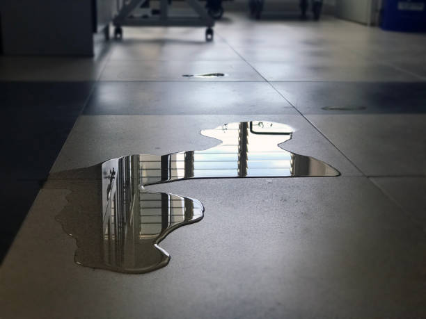 Best Local water damage restoration  in Rkville, PA