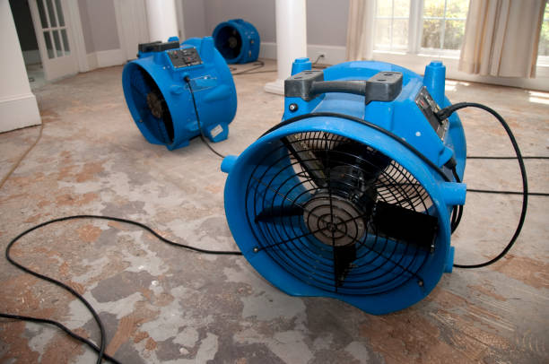 Best Flood restoration services  in Rkville, PA
