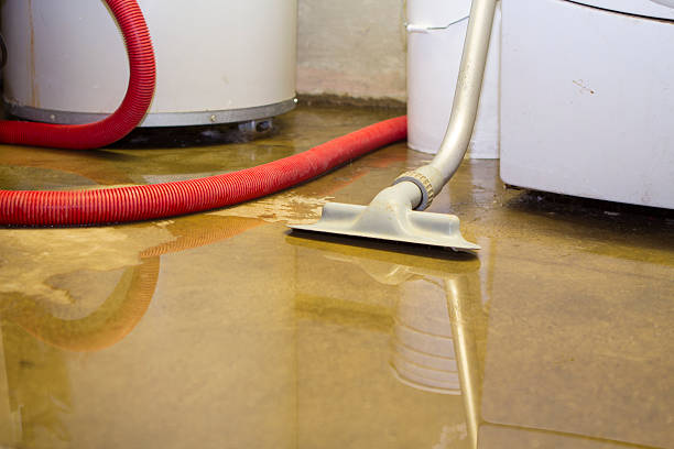 Best Flood restoration services  in Rkville, PA