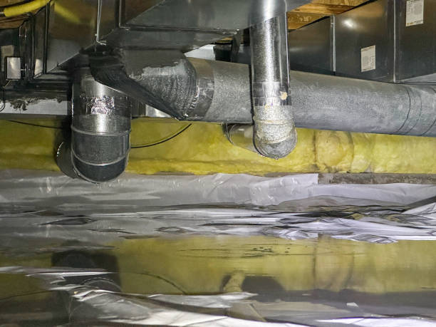 Best Water damage cleanup near me  in Rkville, PA