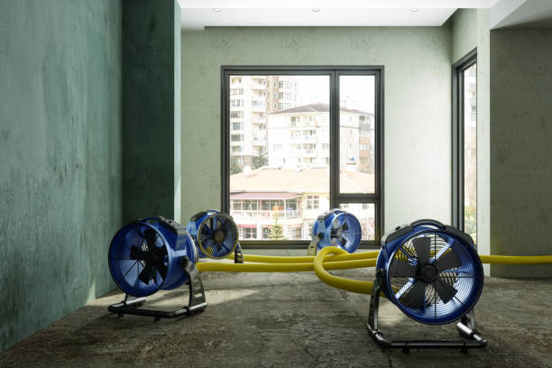 Reliable Parkville, PA Water damage restoration Solutions