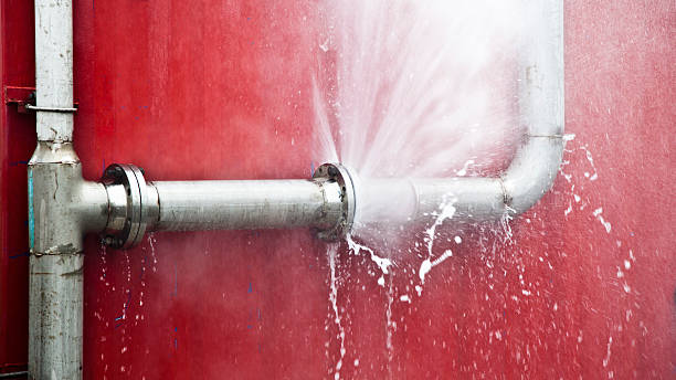 Best Local water damage restoration  in Rkville, PA