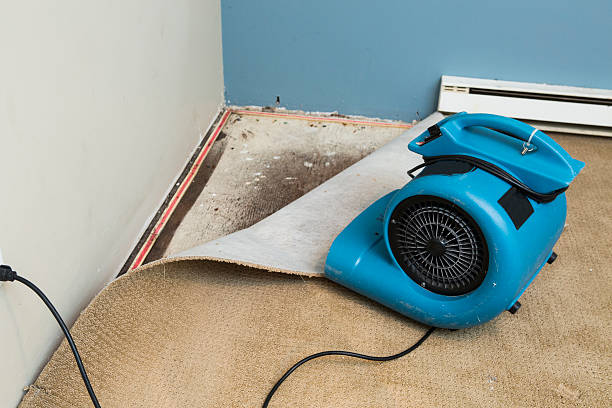  Rkville, PA Water damage restoration Pros